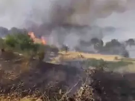 Çüngüş’te çıkan yangın üzüm bağlarına zarar verdi
