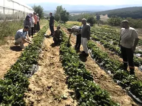 Dağköy’de kadın ve gençlerle üretim büyüyor

