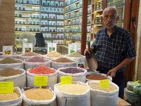 Dede mesleğini 3 bin dönüm arazide yaşatıyor
