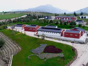 Denizli Büyükşehir Belediyesinden barınak iddialarına suç duyurusu
