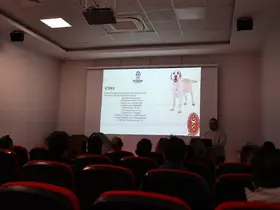 Denizli’de pet shoplara eğitim desteği verdi
