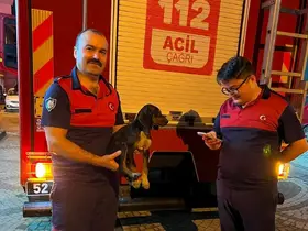 Depoya düşen köpek, itfaiye ekiplerince kurtarıldı
