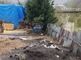 Dereye hayvansal atık bırakan çiftlikler yakalandı
