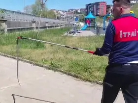 Dernek binasına giren yılanı itfaiye yakalayıp doğaya saldı
