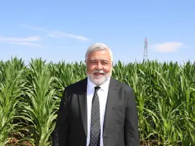 Dicle Elektrik Genel Müdürü Arvas: "Bölgede sorun elektrik değil, sulama"
