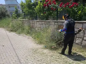 Didim Belediyesi ekipleri ilçe genelinde çalışmalarını sürdürüyor
