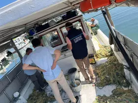 Didim’de su ürünleri denetimleri sürüyor
