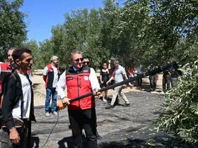 Dikili’de sezonun ilk zeytin hasadı başladı
