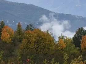 Dikmen Yaylası sonbaharın renklerine büründü
