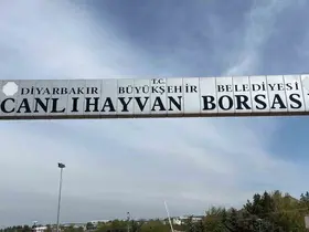 Diyarbakır Canlı Hayvan Borsası tadilata alındı
