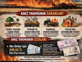 Diyarbakır’da anız yakanlara dekar başı 698 lira para cezası uygulanacak
