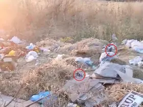Diyarbakır’da boş arazideki çöpler fare yuvasına döndü
