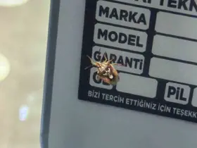 Diyarbakır’da görenleri şaşırtan böcek: Sırtında adeta yüz var
