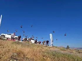 Diyarbakır’da keneye karşı doğal mücadele
