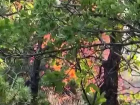 Diyarbakır’da örtü yangını
