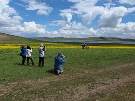 Doğa için deklanşöre bastılar: Dostlar Fotoğraf Grubu Van’ın sulak alanlarını fotoğrafladı
