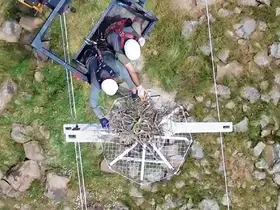 Doğal yaşama enerji veren proje: Göçmen kuşlar Dicle Elektrik ile güvende
