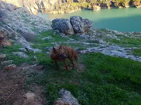 Doğal yaşamı bozanlara 5 Milyon TL’ye kadar ceza
