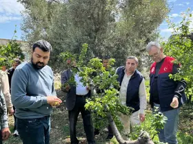 Dolu afeti sonrası hasar tespit çalışmalarına başlandı
