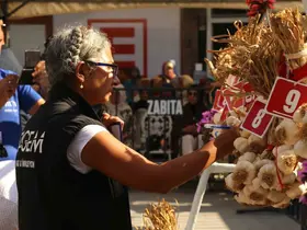 Dünyaca ünlü Taşköprü sarımsağı festivalde yarıştı: 80 demet arasından en iyi sarımsak seçildi
