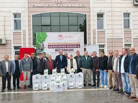 Düzce’de 14 bin samuray arısı doğaya salındı
