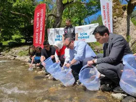 Düzce’de 7 bin 500 kırmızı benekli alabalık yavrusu sularla buluştu

