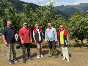 Düzce’de fındık üreticilerine iyi tarım denetimi
