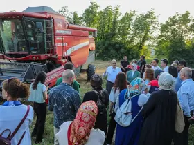 Düzce’de ilk kez yetişen siyez buğdayının hasadı yapıldı
