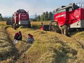 Düzce’de verimli hasat için biçerdöver denetimleri sürüyor
