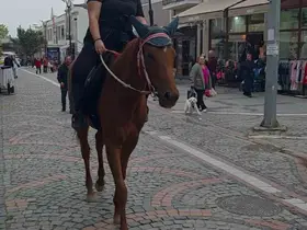 Edirne’de atıyla caddelerde gezen kadın ilgi odağı oldu
