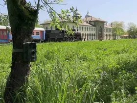 Edirne’de fotokapanlar yaban hayatını görüntülüyor
