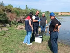 Edirne’de toplu balık ölümlerinin yaşandığı göletten numune alındı
