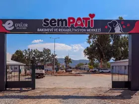 Efeler Belediyesi’nin projesi açılış için gün sayıyor
