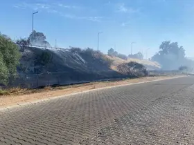 Efeler’de otluk yangını
