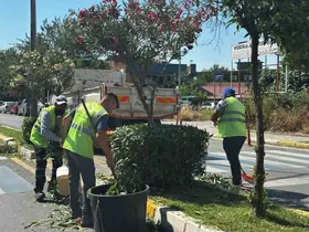 Efeler’de yeşil alanlar Büyükşehir ekipleriyle yenileniyor

