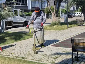 Efeler’de yeşil alanlarda yaz temizliği
