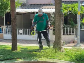 Efeler’de yeşil alanların bakımı sürüyor
