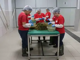 Efeler’in yöresel ürün çeşitliliği 63’e yükseldi
