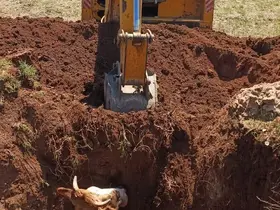 Ekipler seferber oldu, çukura düşen inek kurtarıldı
