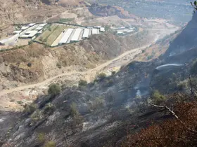 Ekiplerin hızlı müdahalesi can dostları ve hastaneyi yanmaktan kurtardı
