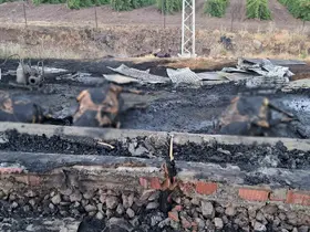 Elazığ’da 10 gün önce aldıkları 3 inek yangında telef oldu
