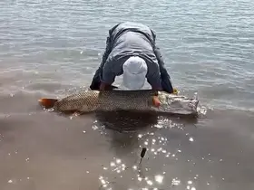 Elazığ’da amatör balıkçılar 65 kilo ağırlığında turna balığı yakaladı
