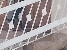 Elazığ’da bir kedi, evin kapısını açarak içeri girdi

