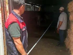 Elazığ’da büyükbaş işletmeleri denetlendi
