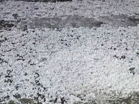 Elazığ’da dolu etkili oldu
