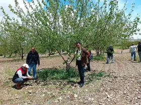 Elazığ’da dolu sonrası hasar tespiti yapıldı

