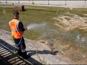 Elazığ’da İlaçlama çalışmaları sürüyor
