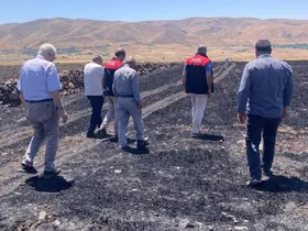 Elazığ’da küle dönen 70 dönümlük ekili alanda hasar tespit çalışmaları
