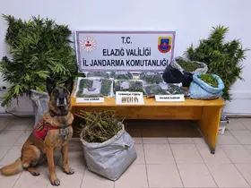 Elazığ’da uyuşturucu operasyonu: 3 tutuklama
