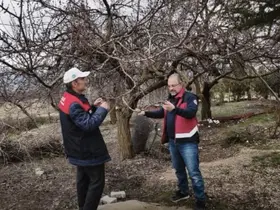 Elazığ’da zirai don mesaisi
